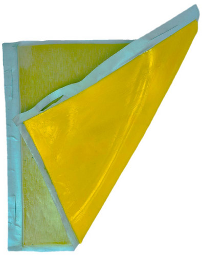Artikelbild